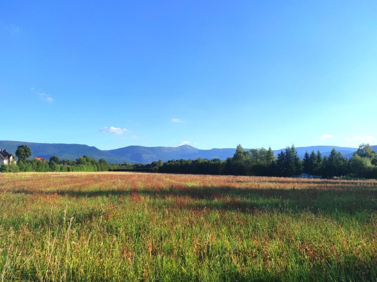 Willa Kolorowa Chata 6 Km Od Karpacza มิสลาโกวิเซ ภายนอก รูปภาพ