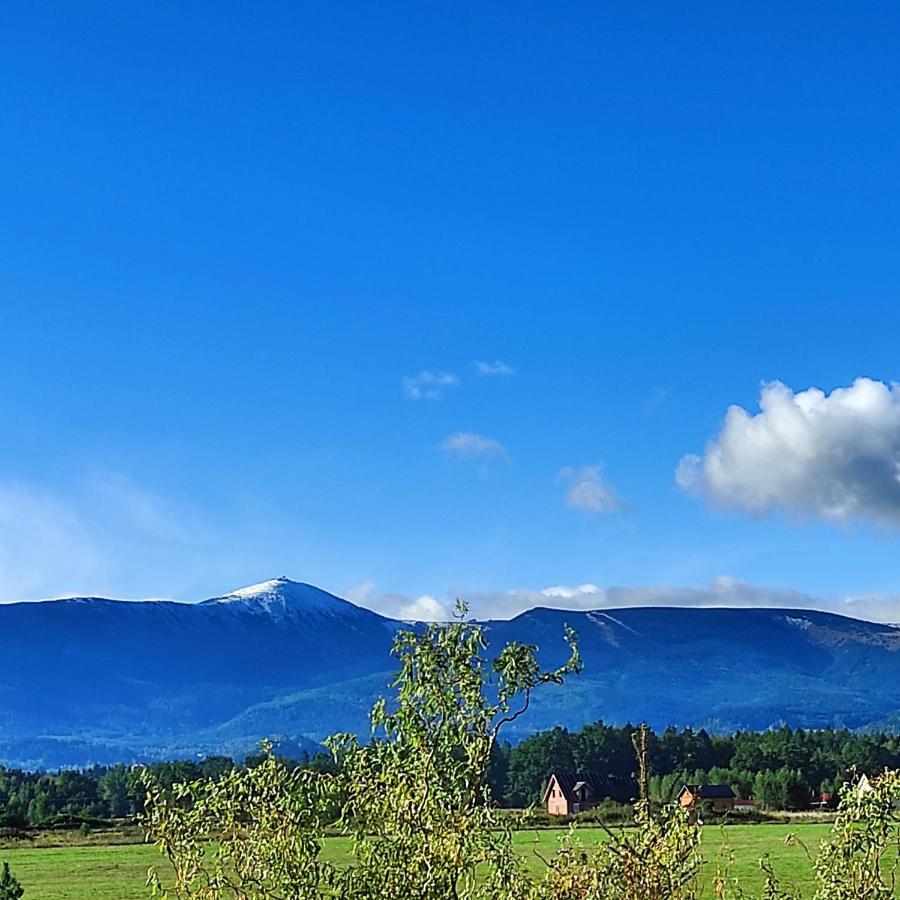 Willa Kolorowa Chata 6 Km Od Karpacza มิสลาโกวิเซ ภายนอก รูปภาพ