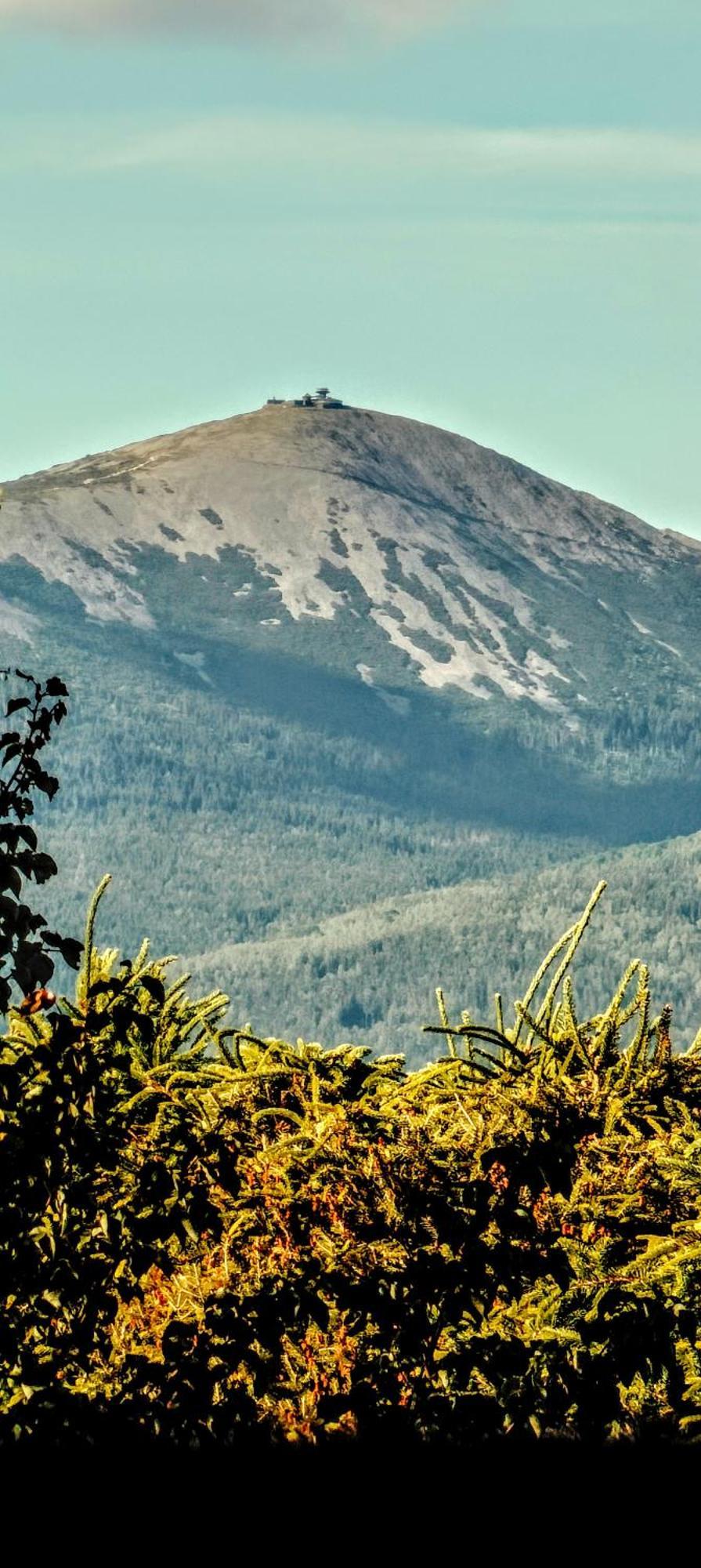 Willa Kolorowa Chata 6 Km Od Karpacza มิสลาโกวิเซ ภายนอก รูปภาพ