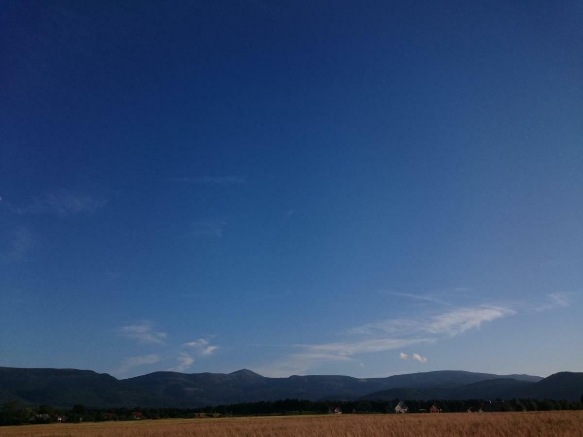 Willa Kolorowa Chata 6 Km Od Karpacza มิสลาโกวิเซ ภายนอก รูปภาพ